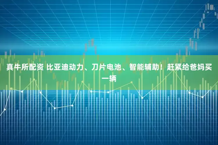 真牛所配资 比亚迪动力、刀片电池、智能辅助！赶紧给爸妈买一辆