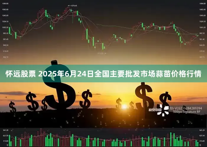 怀远股票 2025年6月24日全国主要批发市场蒜苗价格行情
