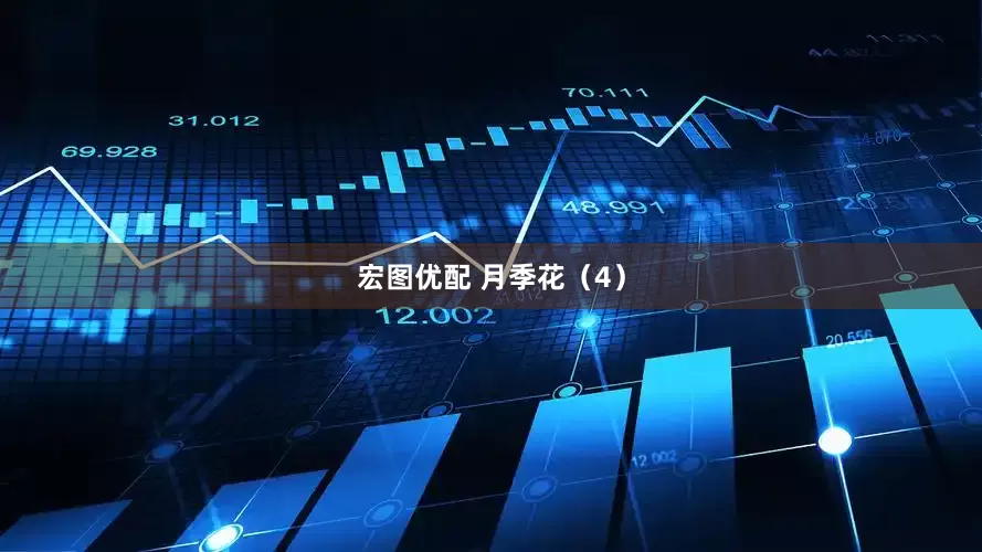 宏图优配 月季花（4）