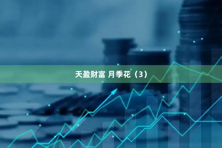 天盈财富 月季花（3）